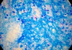 Untitled design (11)